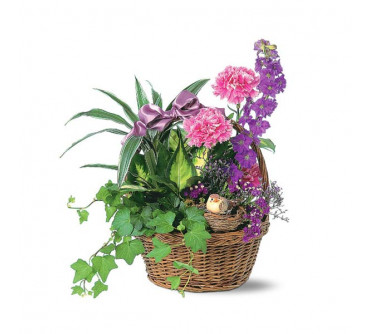 Basket Garden with Bird